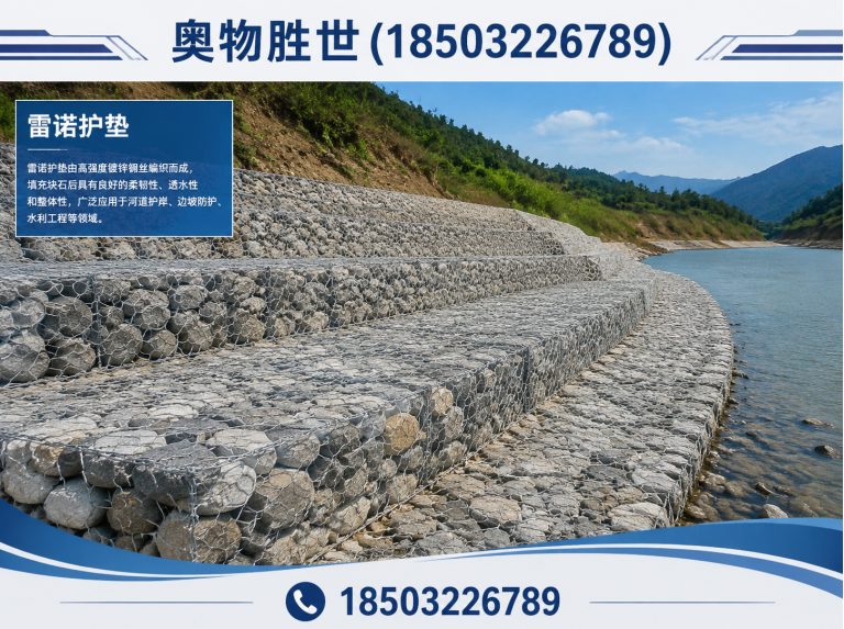 安阳雷诺护垫展示图